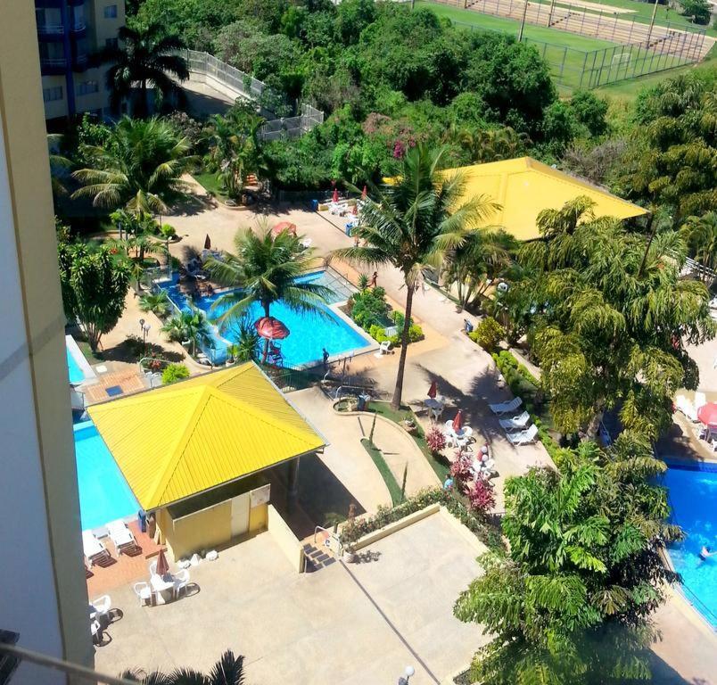 Sol Caldas *